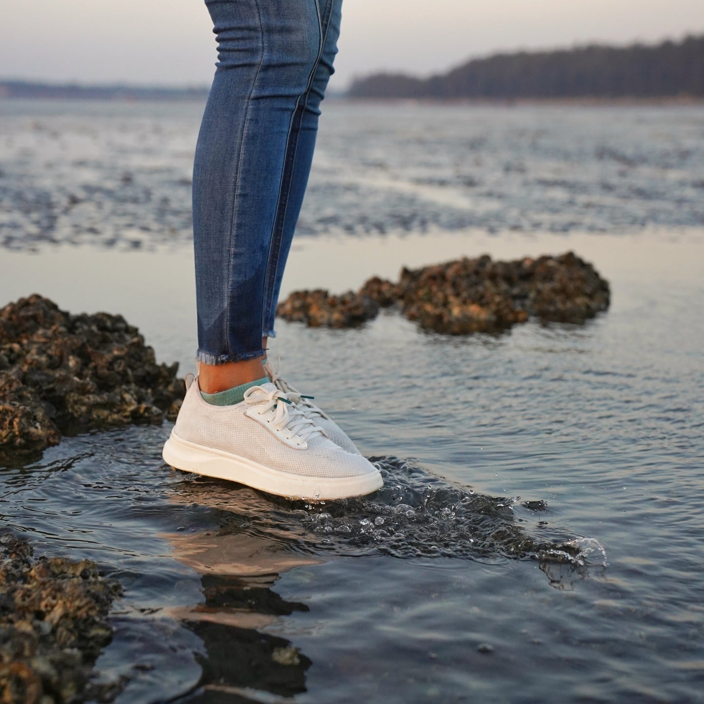 Everyday Storm: Ivory White